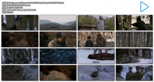 The.Tiger.An.Old.Hunter's.Tale.2015.1080p.BluRay.x264.DTS WiKi.mkv