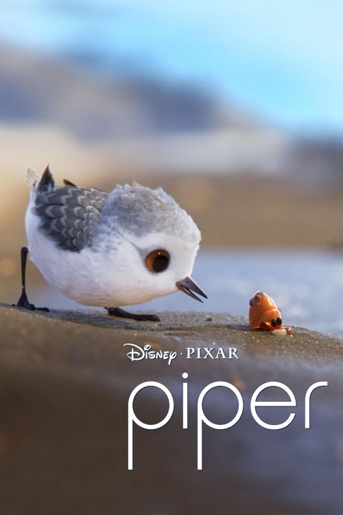 Piper.2016.jpg