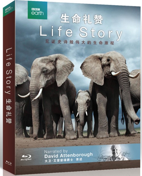 Life Story 2014 front