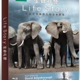 Life-Story-2014_front