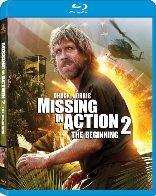 Missing in Action 2