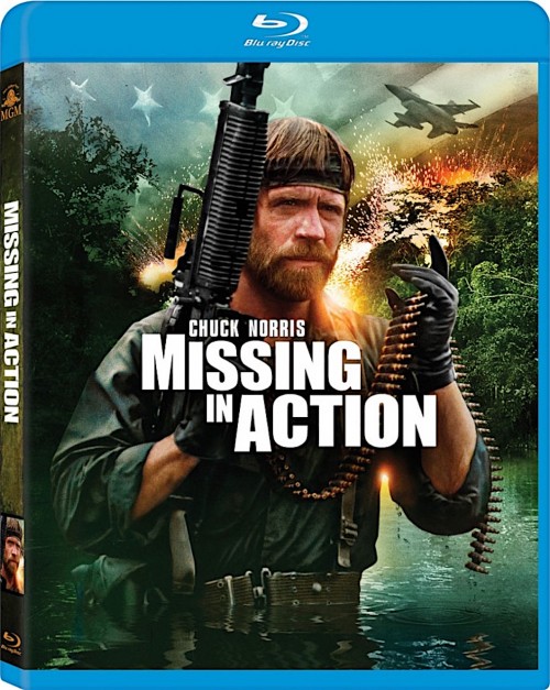 Missing-in-Action.jpg