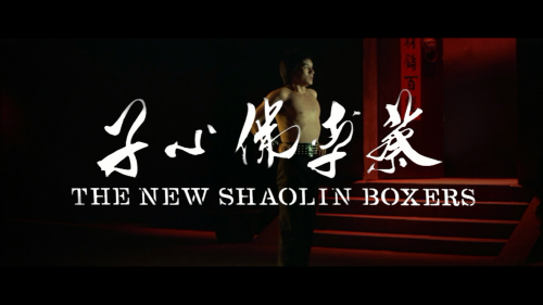 00002.mpls(The.New.Shaolin.Boxers.1976.Blu ray.1080i.AVC.DTS HD MA 2.0 A236P5@OurBits) 20171129 2108