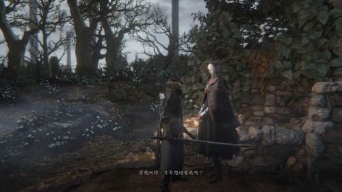 Bloodborne The Old Hunters Edition_20180106165812