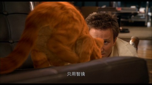 Garfield.2004.BluRay.iPad.720p.AAC.x264-CHDPAD.mp4_20180603_125713.903.jpg