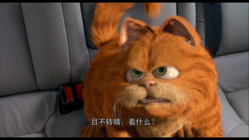 Garfield.2004.BluRay.iPad.720p.AAC.x264-CHDPAD.mp4_20180603_125718.407.jpg