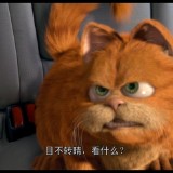 Garfield.2004.BluRay.iPad.720p.AAC.x264-CHDPAD.mp4_20180603_125718.407