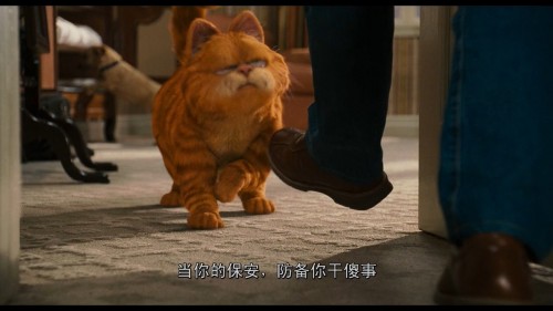 Garfield.A.Tail.of.Two.Kitties.2006.BluRay.iPad.720p.AAC.x264-CHDPAD.mp4_20180603_125919.311.jpg