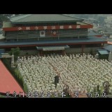 shaolin.temple.1982.BluRay.iPad.720p.AAC.x264-CHDPAD.mp4_20180608_161414.739