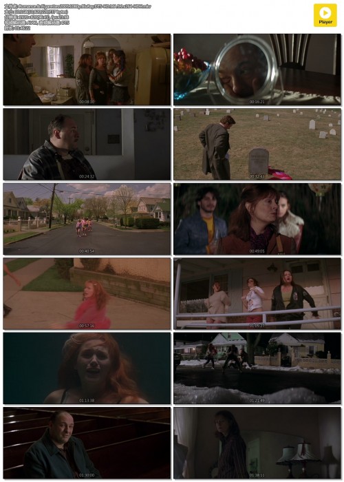 Romance..Cigarettes.2005.1080p.BluRay.DTS-HD.MA.5.1.x264-HDH.mkv.jpg