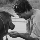 The.Cow.1969.FRA.BluRay.720p.x264.FLAC-CMCT.mkv_snapshot_00.09.24.464