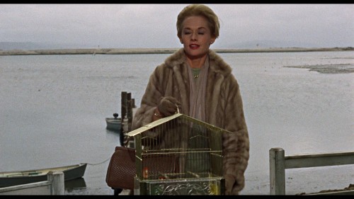 The.Birds.1963.1080p.CEE.BluRay.AVC.DTS-HD.MA.2.0-DiYHDHome.00023.m2ts.scr04.jpg