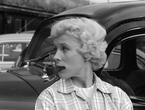 Wild.Strawberries.1957.BluRay.1080p.LPCM1.0.x264-CHD.mkv_20191128_145323.389.png