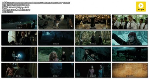 Harry.Potter.and.the.Prisoner.of-Azkaban.2004.BluRay.1080p.x264.DTS-WiKi.mkv.jpg