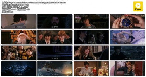 Harry.Potter.and.the.Sorcerer's.Stone.2001.BluRay.1080p.x264.DTS WiKi.mkv