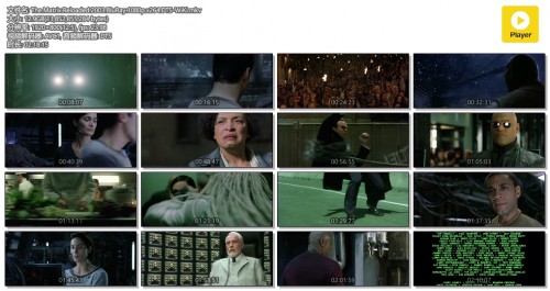 The.Matrix.Reloaded.2003.BluRay.1080p.x264.DTS-WiKi.mkv.jpg