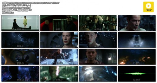 The.Matrix.Revolutions.2003.BluRay.1080p.x264.DTS-WiKi.mkv.jpg