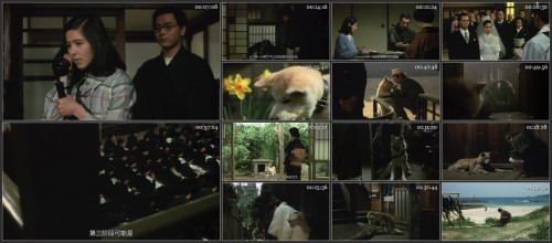 Hachiko.Monogatari.1987.2160P.WEB-DL.H265.AAC-LeagueWEB.mp4.jpg