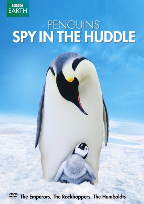 Penguins-Spy-In-The-Huddle.jpg