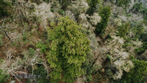 Aerial.China.2019.S02.EP01.Zhejiang.WEB-DL.4K.HEVC.HLG.AAC-LeagueWEB.mp4_20200822_131150.017.png