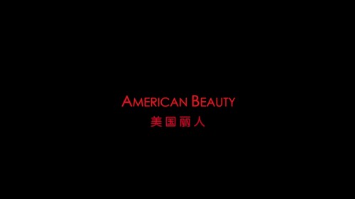 American Beauty 20201022 201229.482