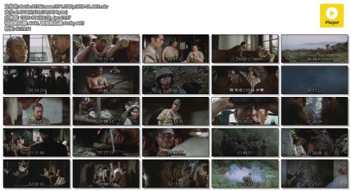 Battle.Of.Okinawa.1971.1080p.WEB-DL.AC3.mkv.jpg