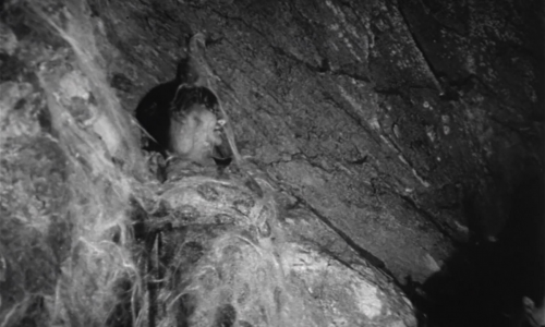 Beast.from.Haunted.Cave.1959.1008p.AMZN.WEB-DL.DDP2.0.H.264-MRCS.mkv_20210627_165146.293.png