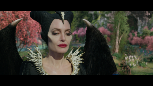 Maleficent Mistress of Evil 2019 3D Blu ray 1080p AVC DTS HD MA 7.1 DIY@TTG 20211227 200059.852