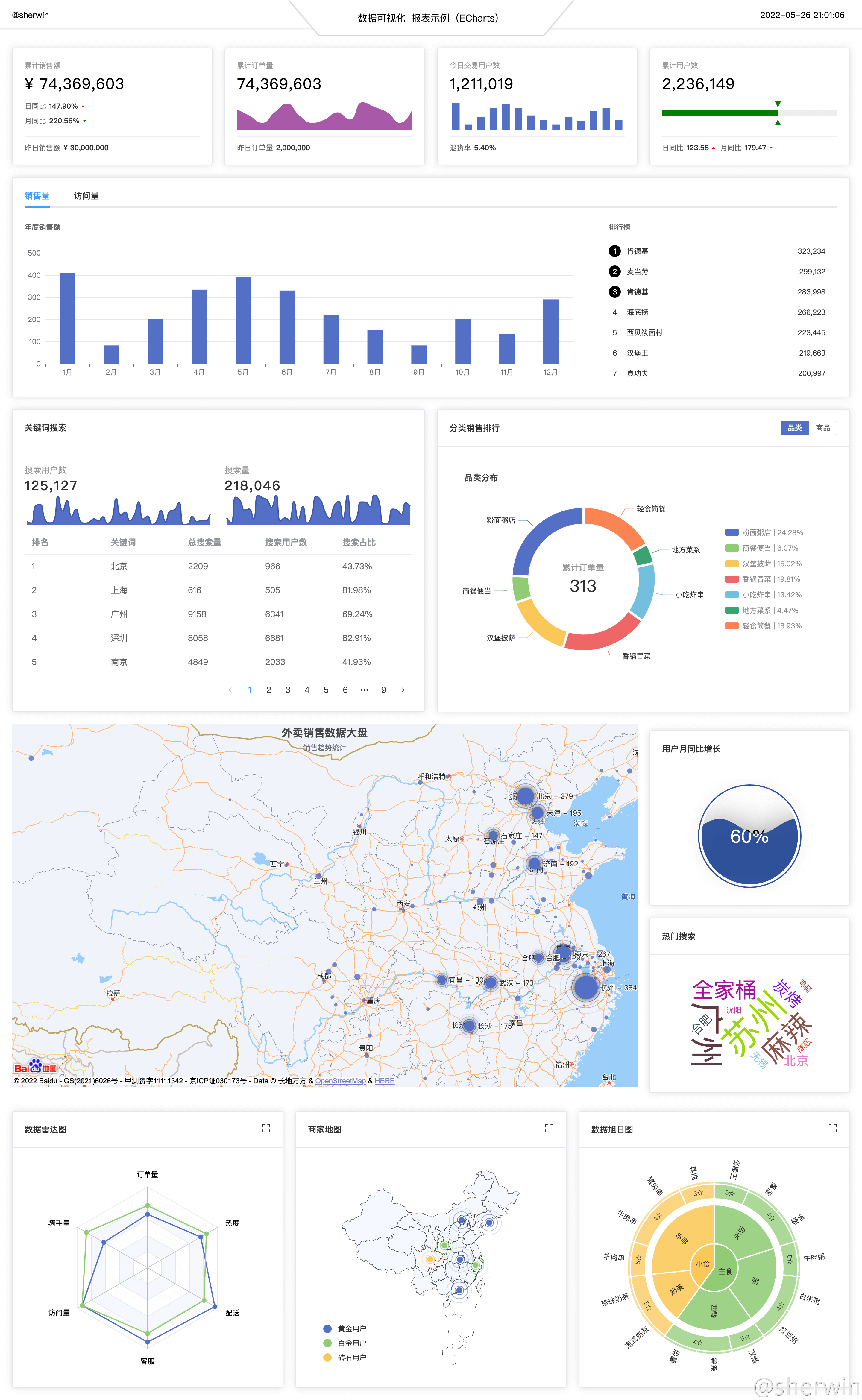 data-visualization-report.png