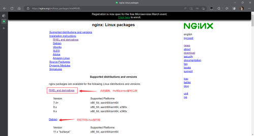 Nginx-3.png