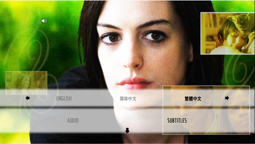 Subtitle Menu