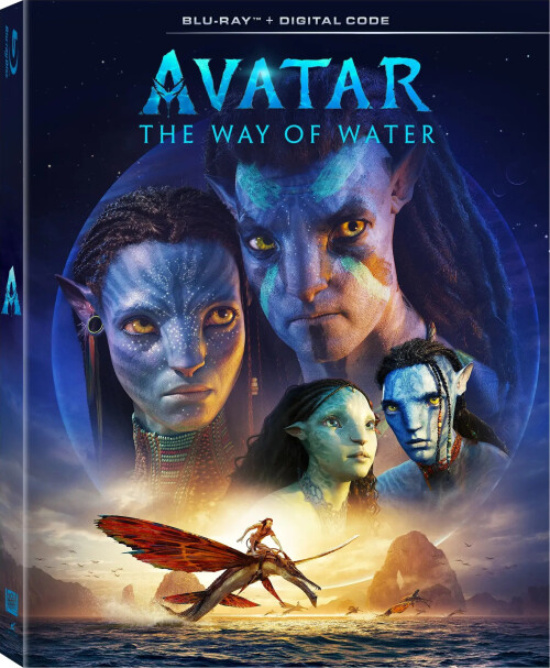 Avatar_2022_front.jpg