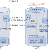 MySQL