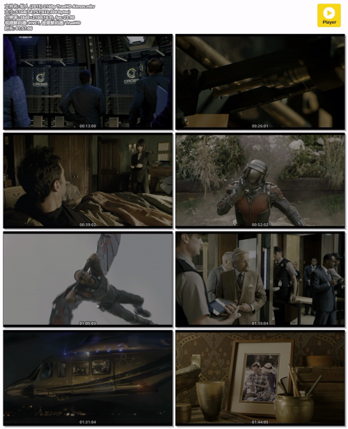 蚁人 (2015) 2160p TrueHD Atmos.mkv