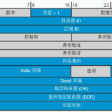 OSPF