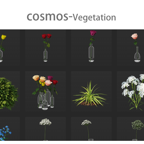 cosmos-Vegetation.png