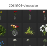 cosmos-Vegetation