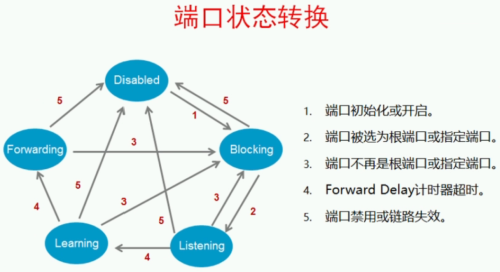 STP端口状态转换