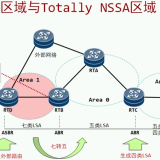 NASSTotally-NSSA