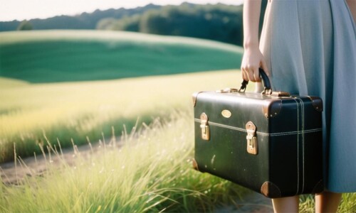 00861 1743909893 from side,close up,The girl carried a very old black suitcase in her single hand,re