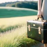 00861-1743909893-from-sideclose-upThe-girl-carried-a-very-old-black-suitcase-in-her-single-handrealisticYellow-and-green-grass-cloudlens_