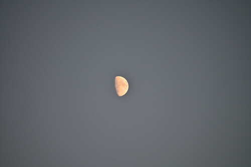 Half-Moon.jpg