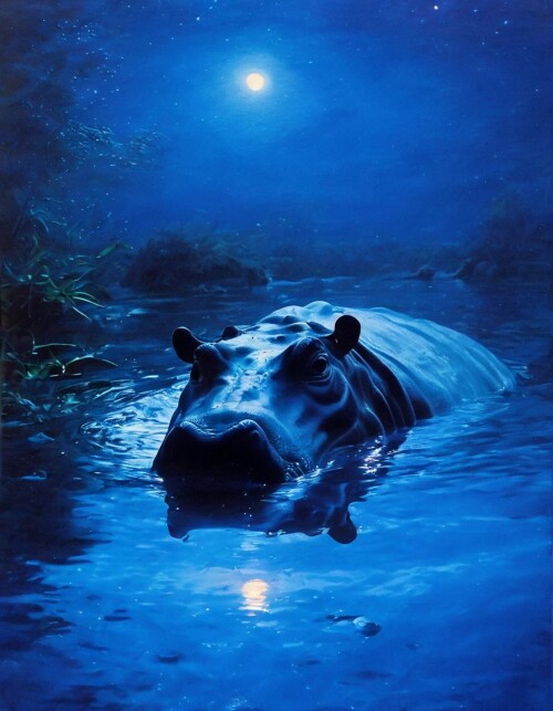 PixelShade02231116231116231357_A-hippo-is-partially-submerged-in-water-with_00658_.jpg