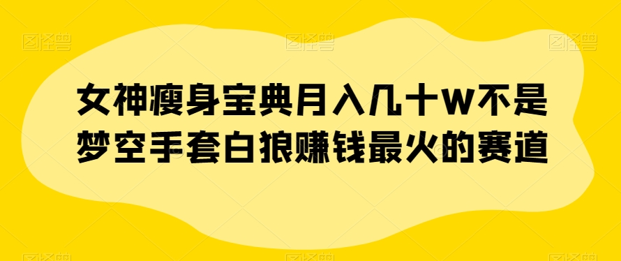 女神瘦身宝典月入几十W不是梦空手套白狼赚钱最火的赛道【揭秘】一点库资源-致力于各大收费VIP教程和网赚项目分享一点库资源