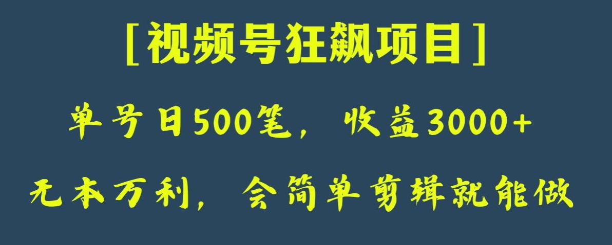 日收款500笔，纯利润3000 ，视频号狂飙项目，会简单剪辑就能做【揭秘】一点库资源-致力于各大收费VIP教程和网赚项目分享一点库资源