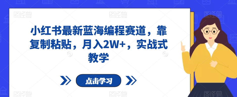 小红书最新蓝海编程赛道，靠复制粘贴，月入2W ，实战式教学【揭秘】一点库资源-致力于各大收费VIP教程和网赚项目分享一点库资源