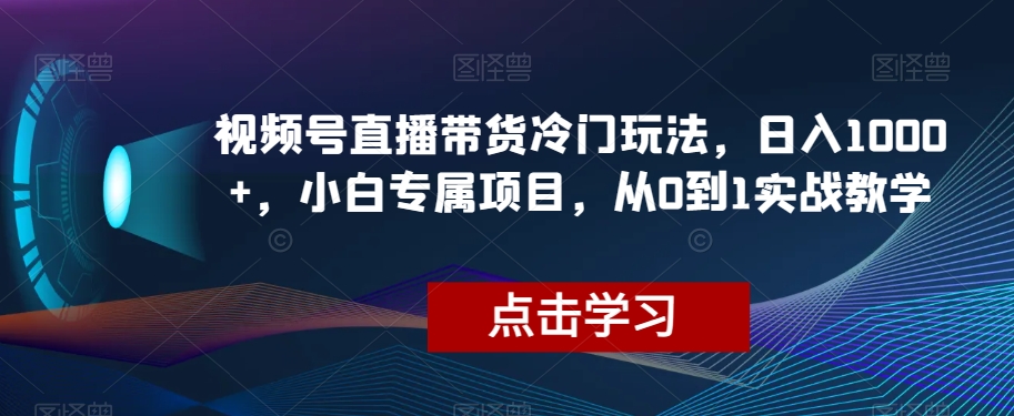 视频号直播带货冷门玩法，日入1000 ，小白专属项目，从0到1实战教学【揭秘】一点库资源-致力于各大收费VIP教程和网赚项目分享一点库资源