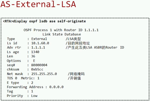 AS-External-LSA.png