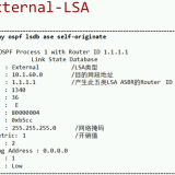 AS-External-LSA