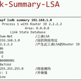 Network-Summary-LSA